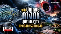 พลิกปลาหมอคางดำ สู่ปลาเศรษฐกิจ ทางเลือกหรือทางรอด l สืบสวนความจริง
