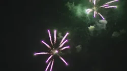 Fire officials warn Fourth of July crowds to leave fireworks behind
